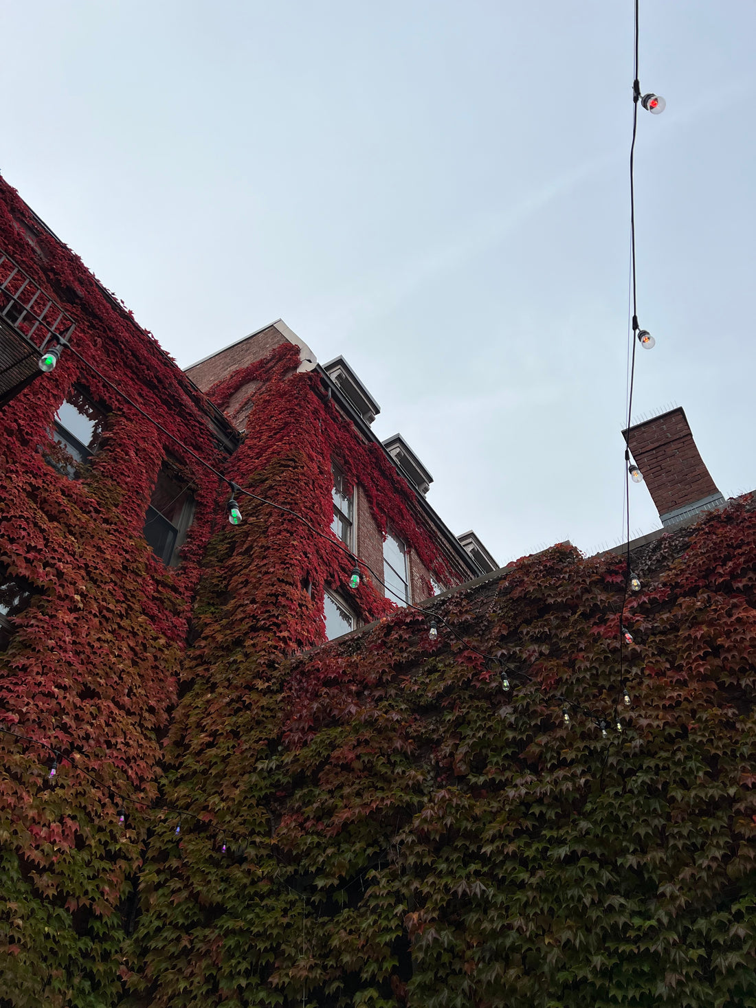 A Wandering Foodies Guide To Portland, Maine