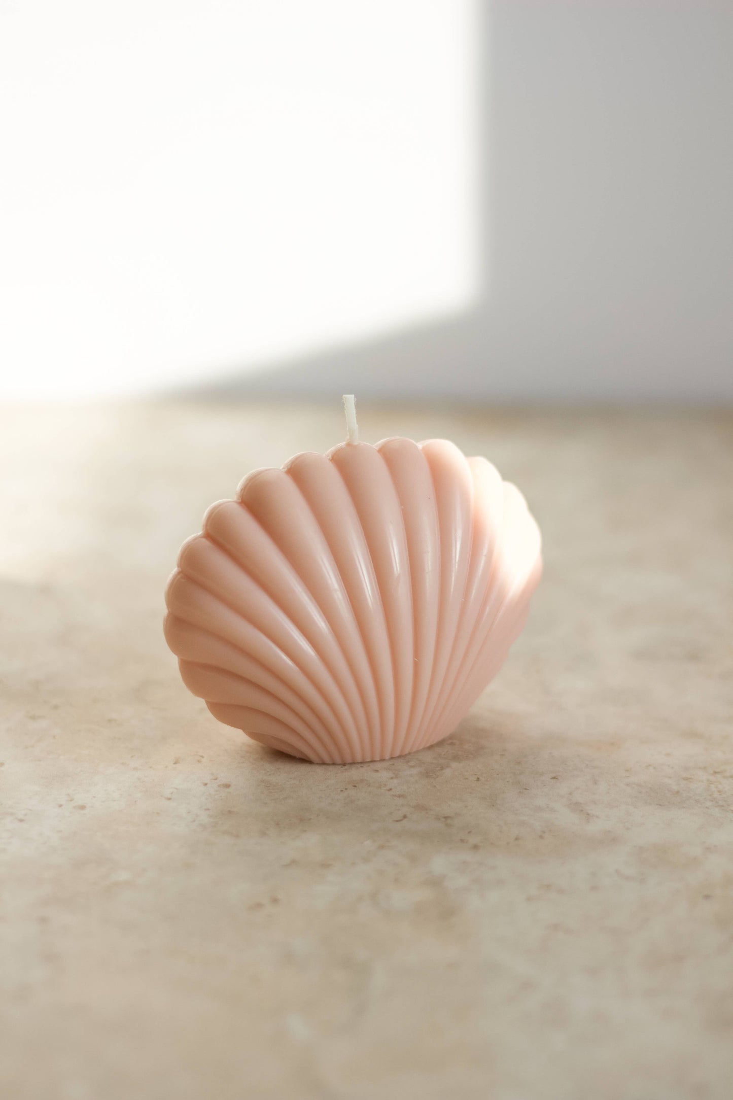 Shell Candle