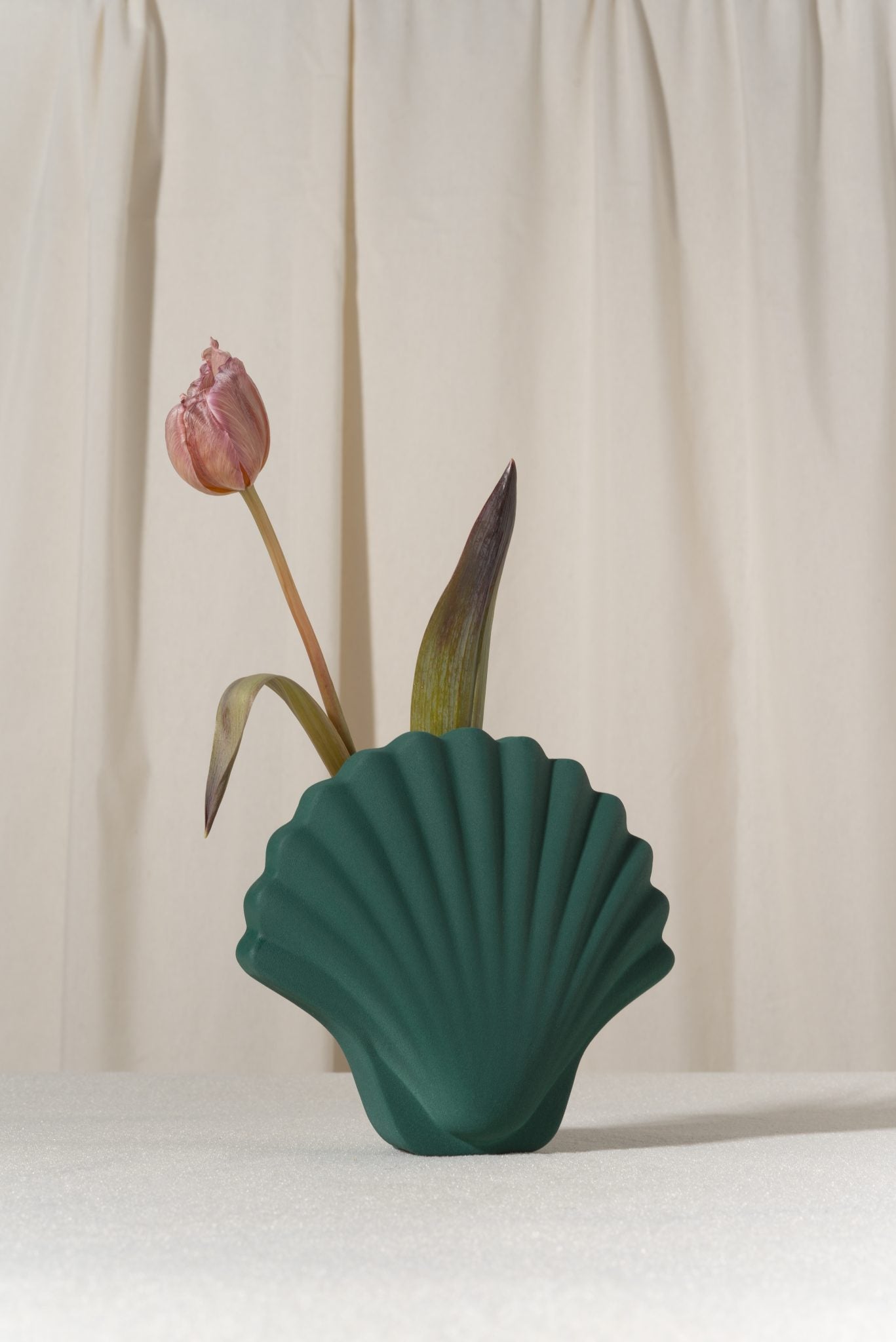 Sea Shell Vase